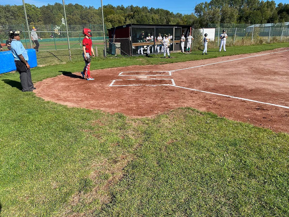 JSM i softboll och UM i baseboll 2024 avgjorda